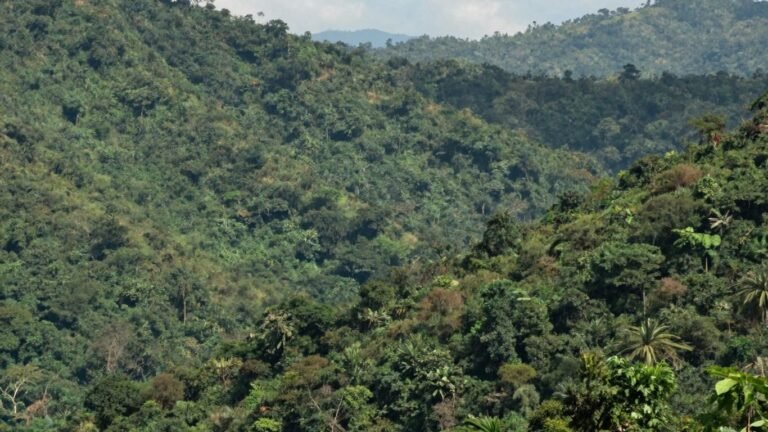 Border between Thailand and Cambodia with jungle and mountains.